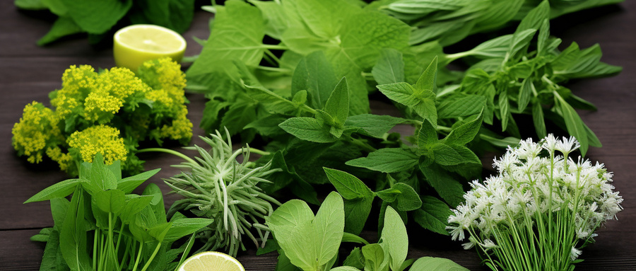 摄图网_600472712_传统中医的草本植物草药(企业商用).jpg