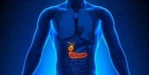 胆囊肿瘤患病该怎么治疗好？